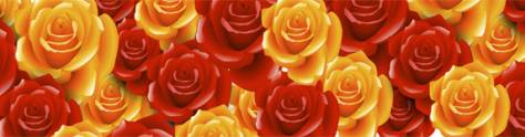 Изображение для скинали: Красные и желтые розы