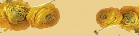Изображение для скинали: Желтые цветы