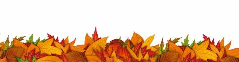 Изображение для скинали: Осенние листья на белом фоне