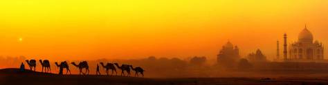 Изображение для скинали: Верблюды в пустыне на закате