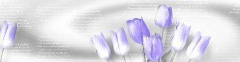 Изображение для скинали: Лилово-белые тюльпаны и надписи 