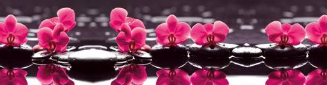 Изображение для скинали: Красные орхидеи на черных камнях