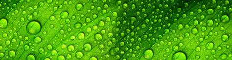 Изображение для скинали: Капли воды на зеленом фоне