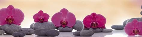 Изображение для скинали: Фиолетовые орхидеи с серыми камнями