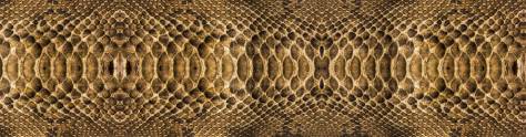 Изображение для скинали: Текстура шкуры змеи