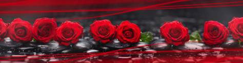 Изображение для скинали: красные розы и волны