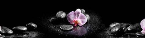 Изображение для скинали: Фиолетовые орхидеи на черных камнях