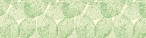 Изображение для скинали: Полупрозрачные зеленые листья