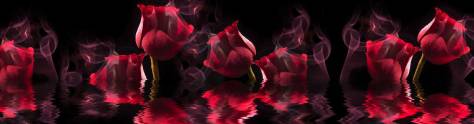 Изображение для скинали: Красные розы в воде с дымкой