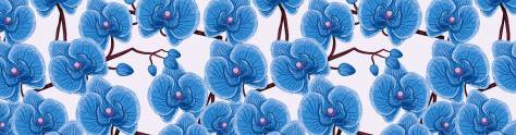 Изображение для скинали: Синие орхидеи