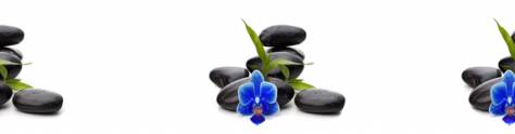 Изображение для скинали: Синие орхидеи, камни на белом фоне
