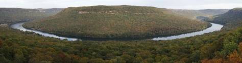 Изображение для скинали: Панорама осеннего леса