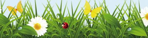 Изображение для скинали: Ромашки в траве с бабочками
