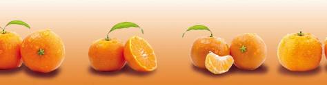 Изображение для скинали: Сочные мандарины на оранжевом фоне