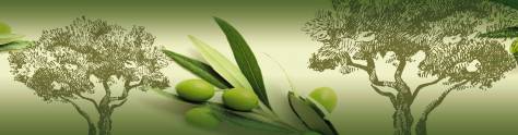 Изображение для скинали: Оливковая ветвь с зелеными оливками