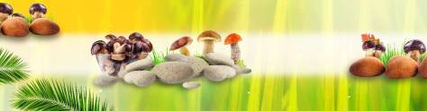 Изображение для скинали: Коллаж грибы